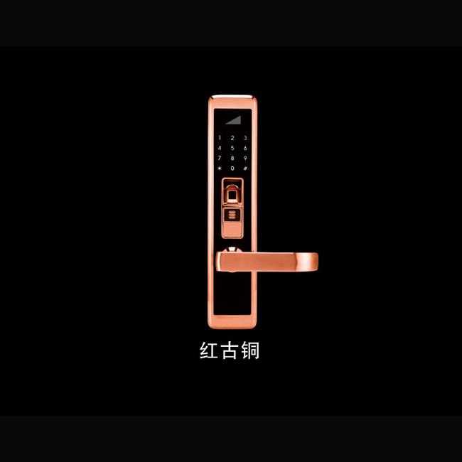 高盾智能锁 T8800指纹密码电子锁 纯不锈钢防盗门天地杆锁体