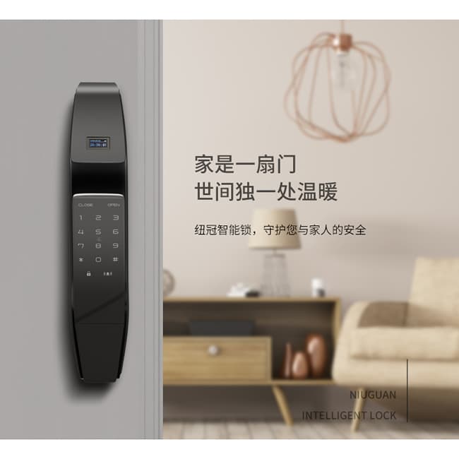 纽冠智能锁 HH031全自动智能指纹锁