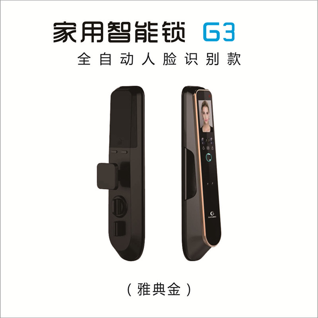 国青智能锁 G3家用全自动人脸识别智能锁